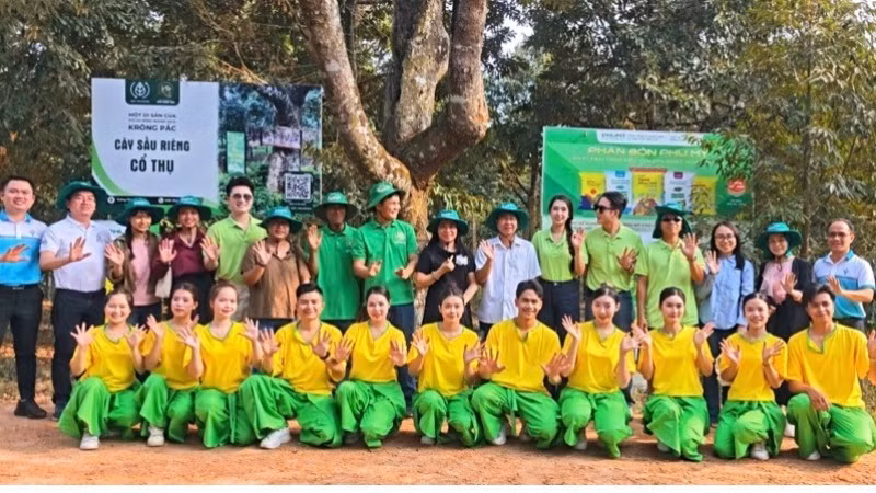 Phú Mỹ đồng hành cùng Lễ Hội Sầu riêng, khởi đầu bằng trải nghiệm quy trình “Thụ phấn hoa sầu riêng”