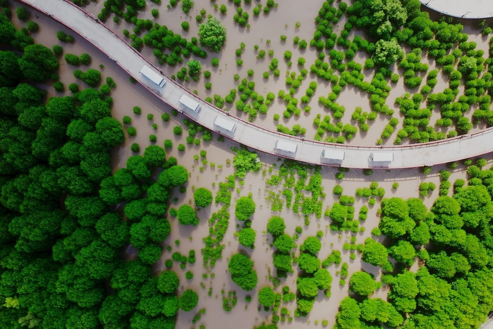 Con đường xuyên qua khu rừng phòng hộ Mũi Cà Mau vừa được tái sinh. (Ảnh NSNA Phương Bằng)