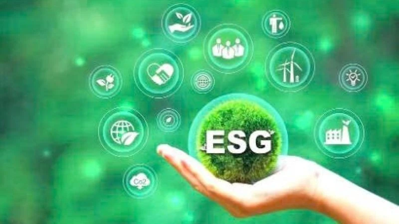 Áp dụng các tiêu chí ESG (môi trường-xã hội và quản trị) trong sản xuất nông nghiệp là xu hướng hiện nay. (ẢNH MINH HỌA)