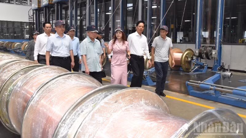 Đoàn đến thăm Công ty trách nhiệm hữu hạn Công nghiệp Đồng Jintian Việt Nam.