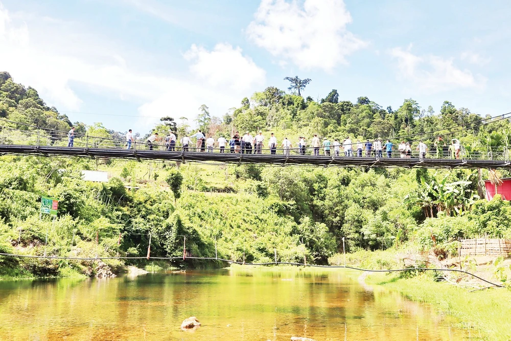 Nhiều đoàn khách đến tham quan, chiêm ngưỡng cá mát được bảo vệ trên suối Nặm Cướm. Ảnh: Bé Vinh