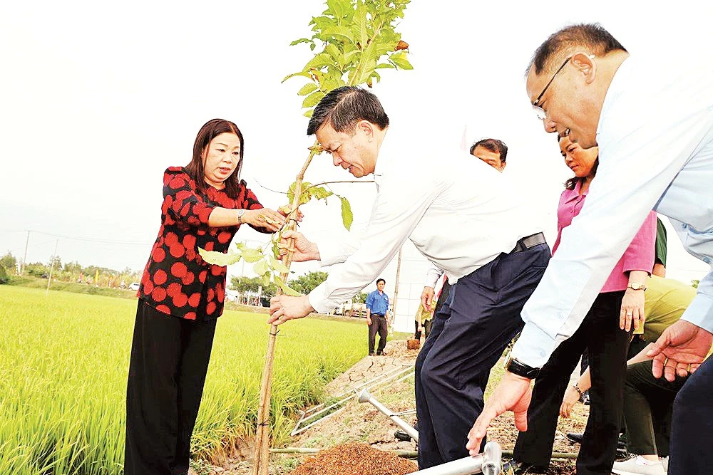 Hoạt động Tết trồng cây được tổ chức tại thành phố Cần Thơ ngày 23/2. 