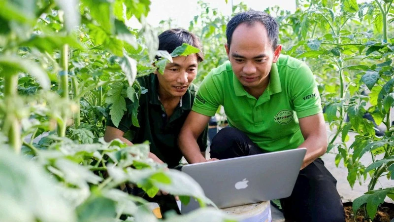 Nguyen Duc Huy instructs workers on operating the VietPorics farm control system.