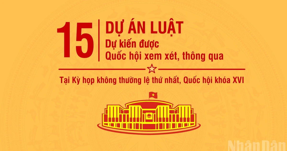 [Infographic] 15 dự án luật dự kiến được xem xét, thông qua tại Kỳ họp không thường lệ thứ nhất, Quốc hội khóa XVI