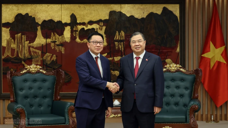 Bài viết