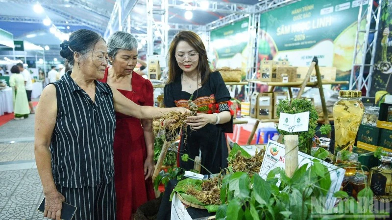 Đà Nẵng lần đầu tổ chức Lễ hội Sâm Ngọc Linh và Dược liệu quốc tế