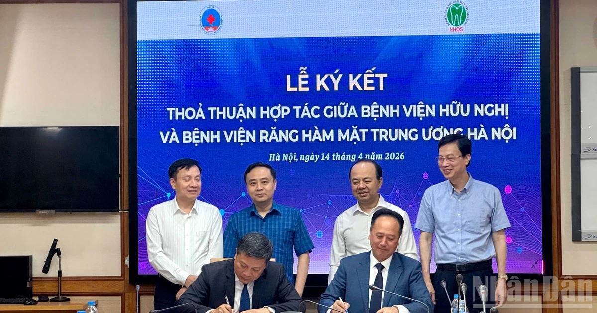 Hợp tác liên viện trong chẩn đoán, điều trị và chăm sóc răng miệng người cao tuổi