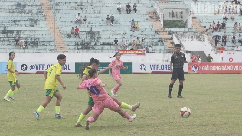 Bài viết