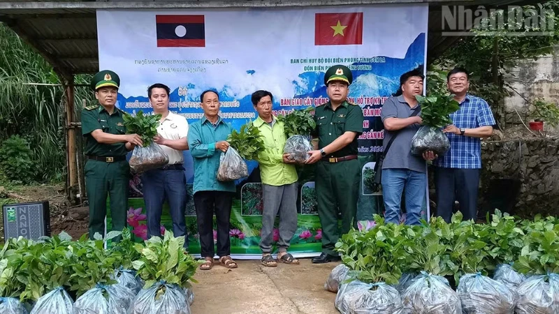Trao tặng 6.200 cây cà-phê cho người dân nước bạn Lào