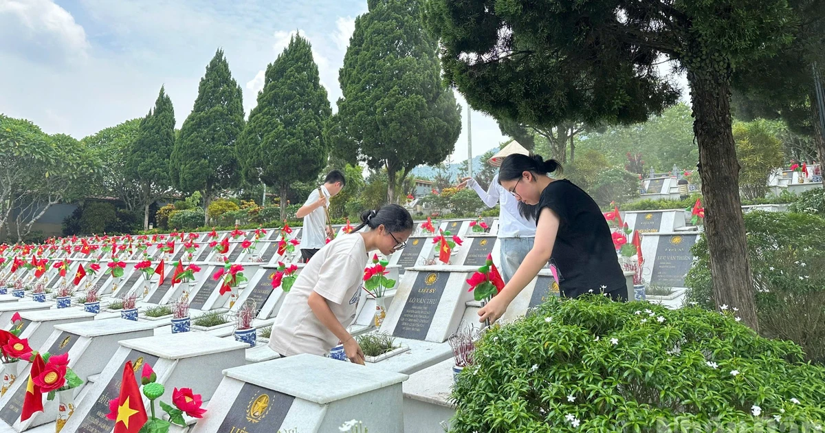 Bài viết