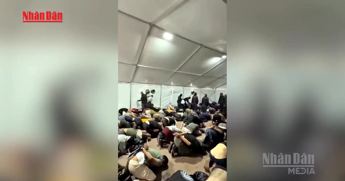 Nhà hoạt động Gaza cáo buộc bị lực lượng Israel tấn công tình dục