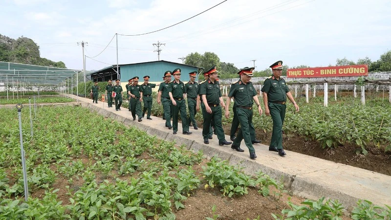 Nâng cao hiệu quả tăng gia sản xuất, chế biến trong Quân đội