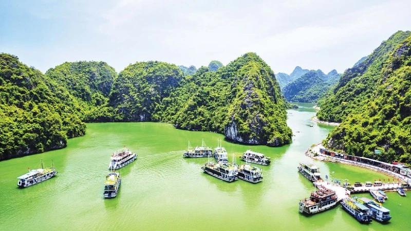 Định hướng xanh, nâng tầm vị thế du lịch Cát Bà