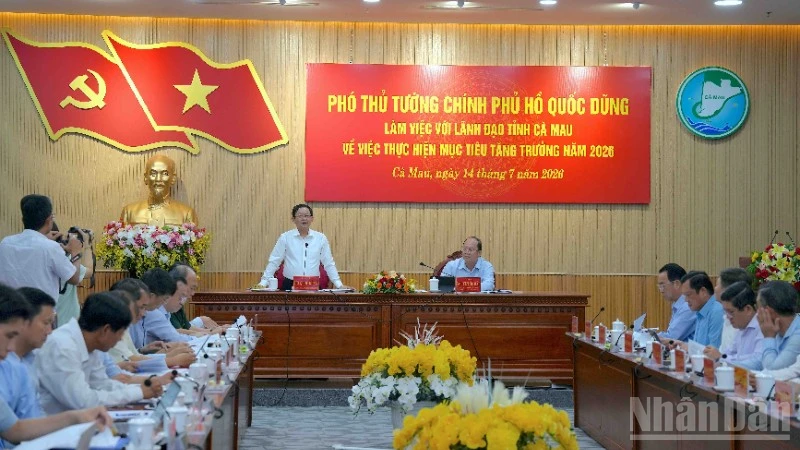 Bài viết