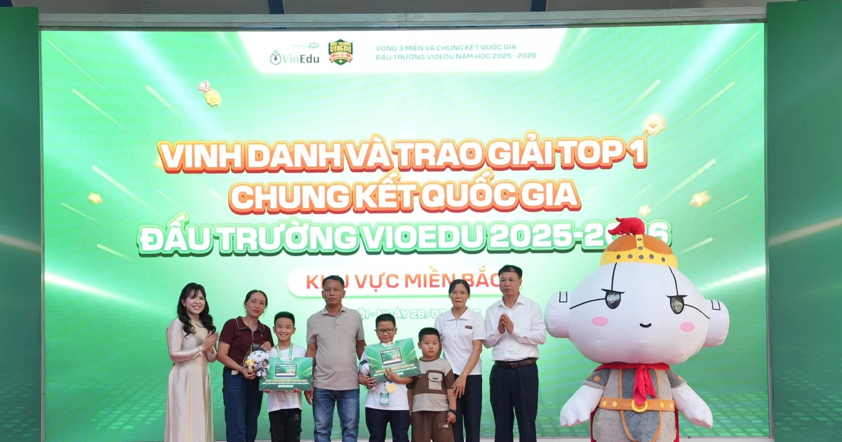 Bài viết