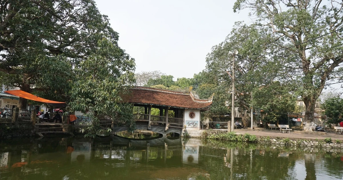 Tích hợp yếu tố sinh thái vào từng lựa chọn