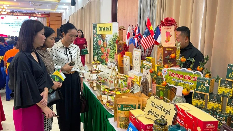 Hải Phòng thúc đẩy phát triển thương mại điện tử