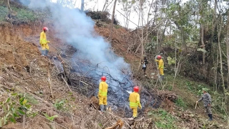 Thái Nguyên tăng cường phòng, chống cháy rừng