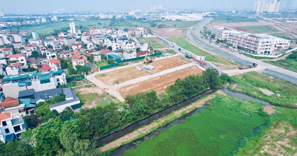 nhandan.vn