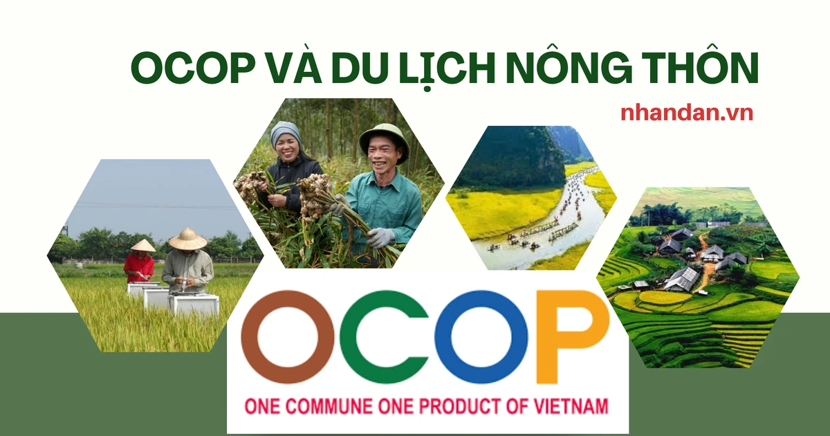 Phát triển OCOP và du lịch nông thôn đồng bộ, bền vững