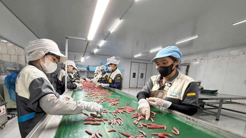 Để kinh tế tư nhân trở thành động lực quan trọng nhất của nền kinh tế