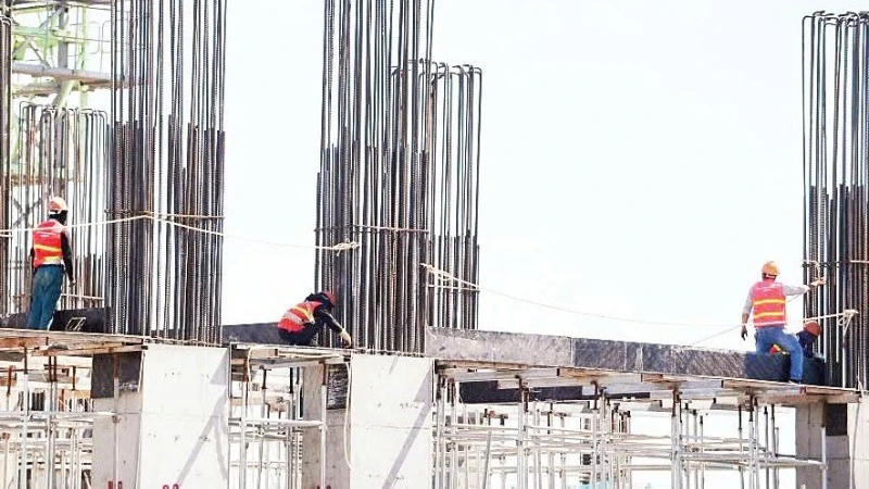 Nỗ lực thích nghi khi nắng nóng gay gắt