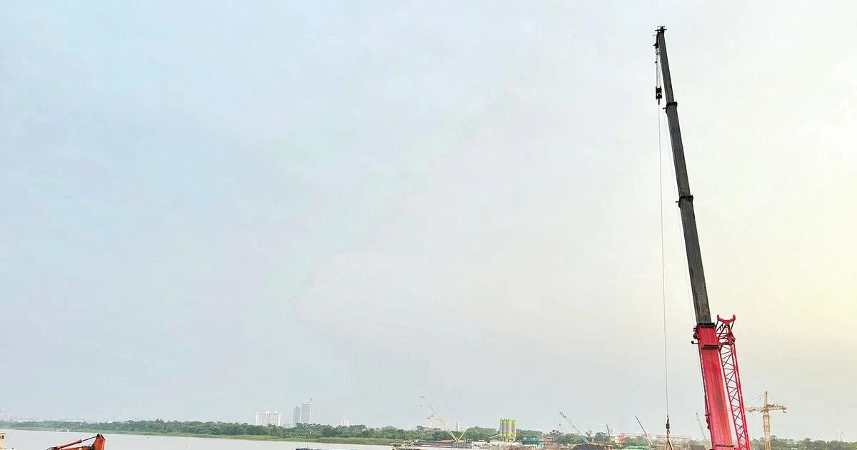 Bài viết