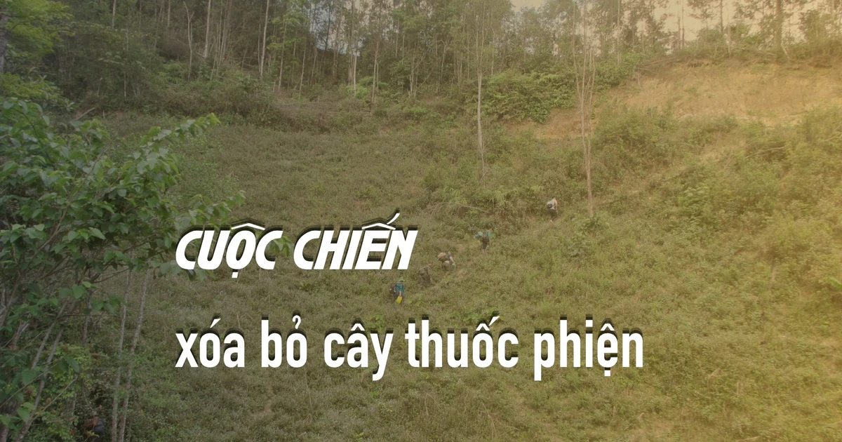 Cuộc chiến xóa bỏ cây thuốc phiện