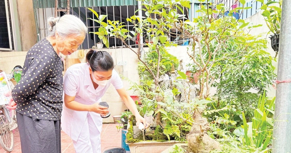 Nỗ lực kiểm soát dịch bệnh sốt xuất huyết
