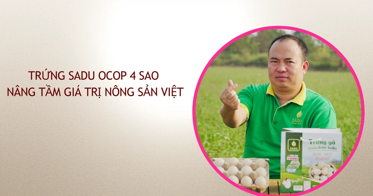 Từ “gã dở hơi” đến trứng Sadu OCOP 4 sao nâng tầm giá trị nông sản Việt