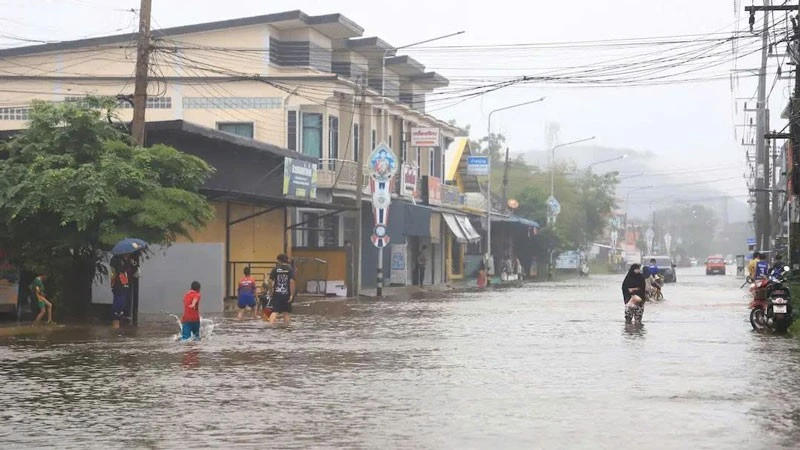 连日来的强降雨导致泰国南部多个省份发生严重洪灾。