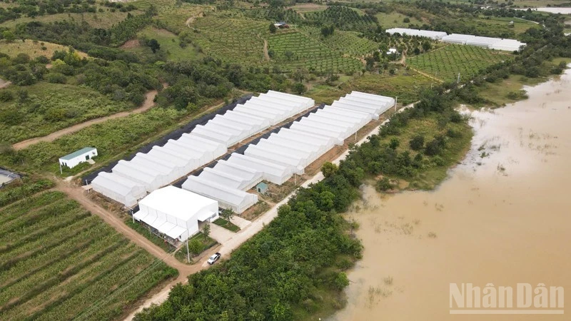 Khánh Hòa kiến tạo thương hiệu cho nông sản sạch
