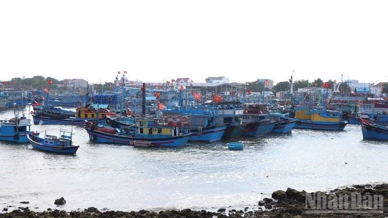 Khánh Hòa hỗ trợ chuyển đổi nghề, giải bản tàu cá: Mở lối cho sinh kế mới bền vững