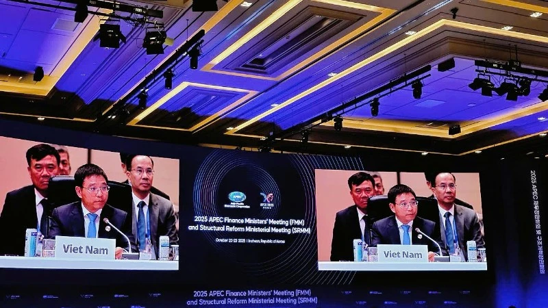 Finance Minister Nguyen Van Thang attends the 32nd APEC Finance Ministers’ Meeting in Incheon, the RoK.