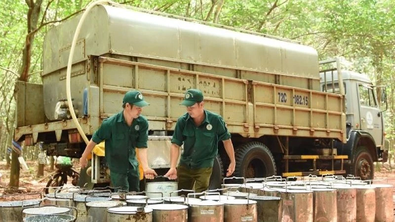 Tập đoàn Công nghiệp Cao su Việt Nam thông tin liên quan khu đất 39-39B Bến Vân Đồn | Báo Nhân Dân điện tử