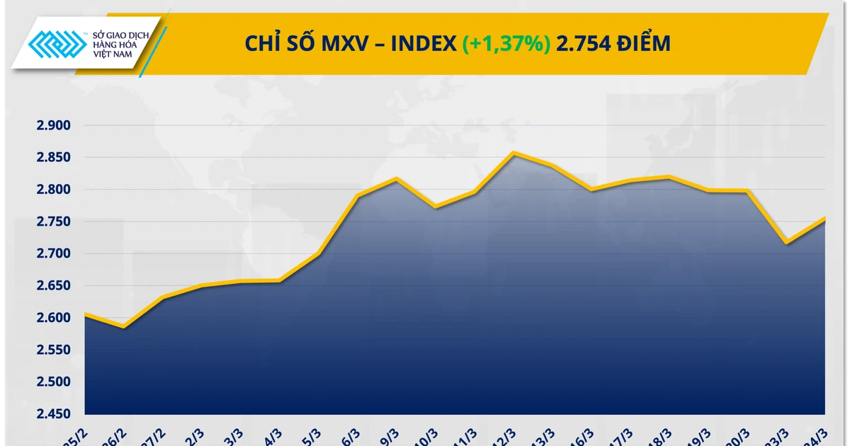 Lực mua áp đảo trên thị trường hàng hóa, chỉ số MXV-Index tăng 1,4%