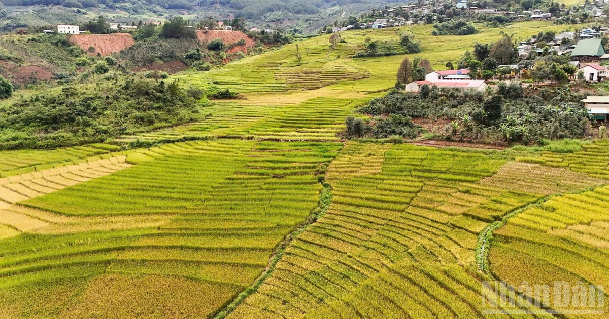 Linking forest–mountain ecotourism with marine and island tourism is a strategic direction to position Quang Ngai on the national tourism map.