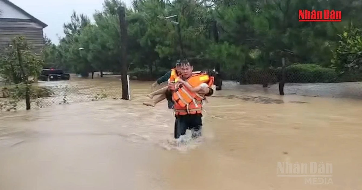 [Video] Mưa lớn xuyên đêm, nhiều nhà ở Bảo Lộc ngập sâu hơn 1 mét