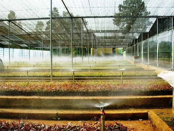 Ứng dụng công nghệ để bảo đảm nguồn nguyên liệu giấy bền vững