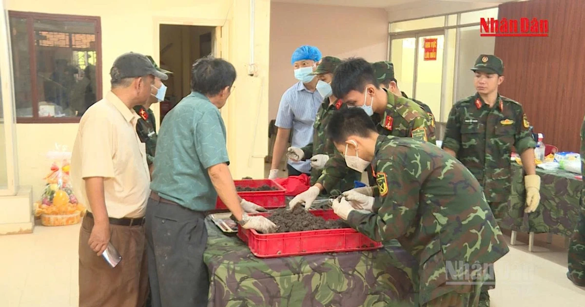 [Video] Đã tìm thấy 155 bộ hài cốt liệt sĩ ở Công viên Lê Thị Riêng