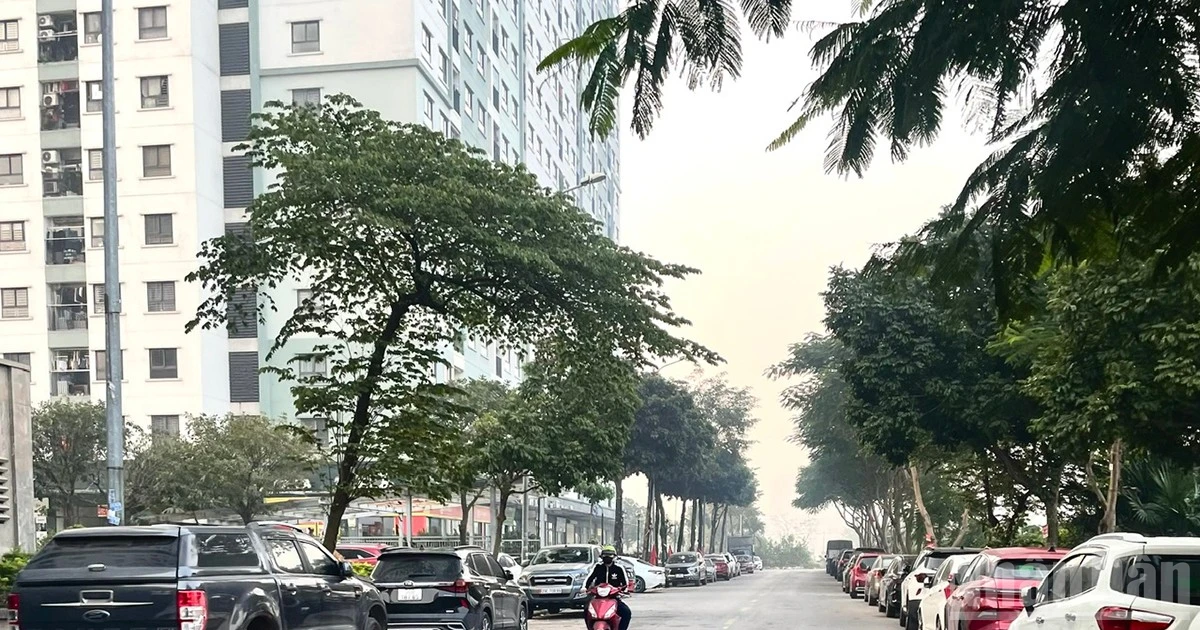 1月18日天气：北部地区清晨和夜间天气寒冷