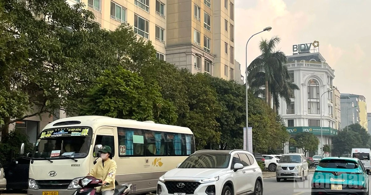 12月19日天气预报：北部白天晴朗，清晨局部有雾；中部局地有阵雨。