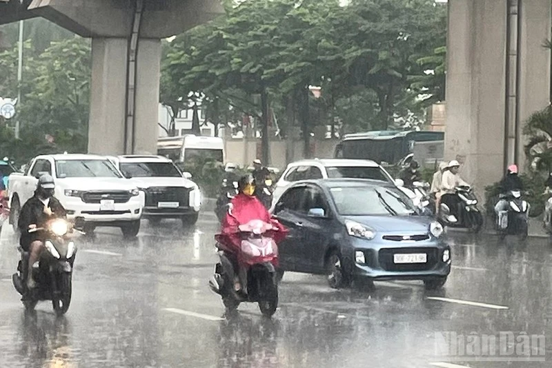 Bài viết