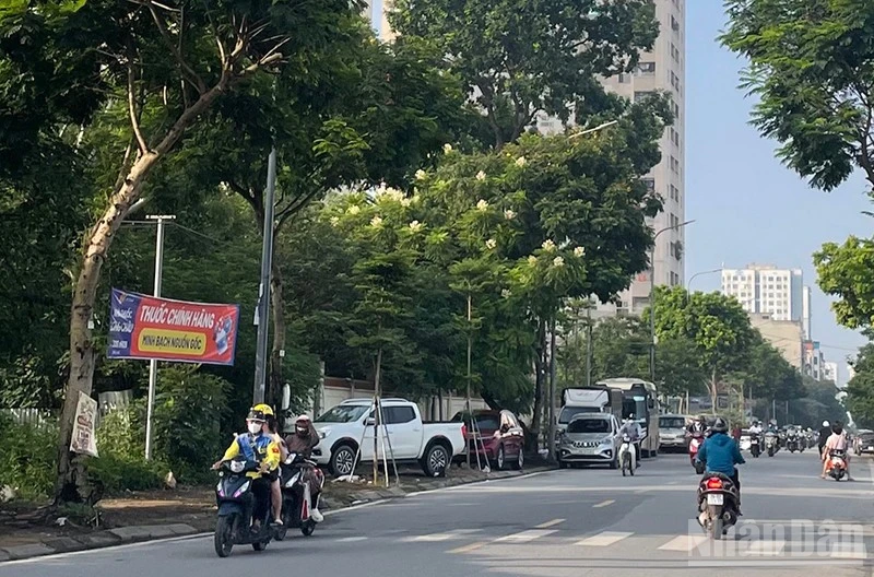 Thời tiết ngày 15/7: Bắc Bộ ngày nắng nóng, Nam Bộ có mưa rào và dông