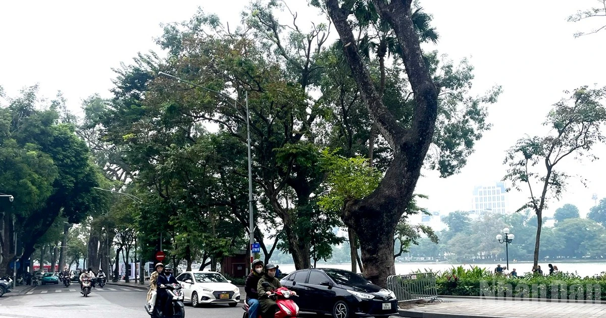 1月6日天气预报：北部地区持续严寒，部分山区气温低于6摄氏度