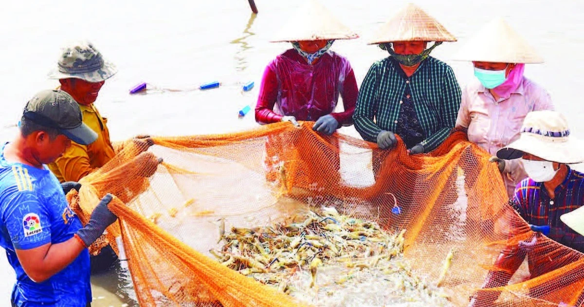 Ứng dụng khoa học, công nghệ nâng cao chất lượng và sức cạnh tranh nông sản