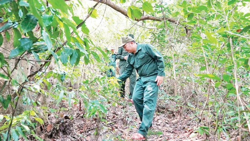 Chủ động phòng chống cháy rừng trong cao điểm nắng nóng