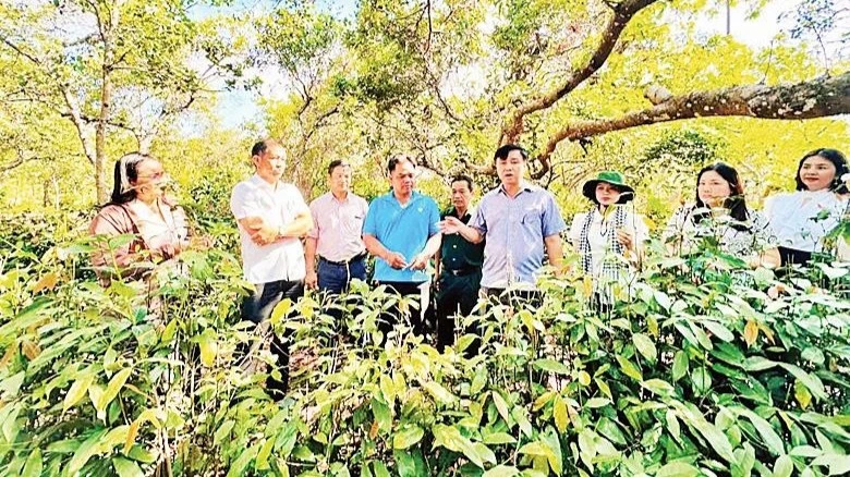 Khơi dậy nội lực vùng đồng bào dân tộc thiểu số