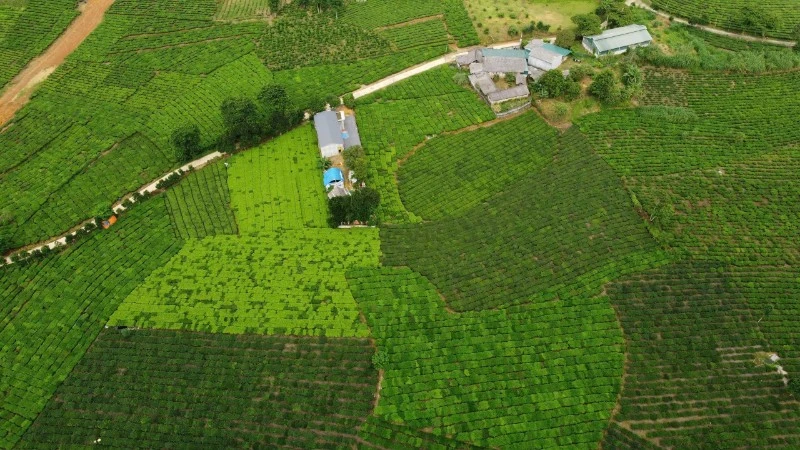 Xã biên giới Bản Lầu hoạt động hiệu quả bộ máy chính quyền địa phương hai cấp