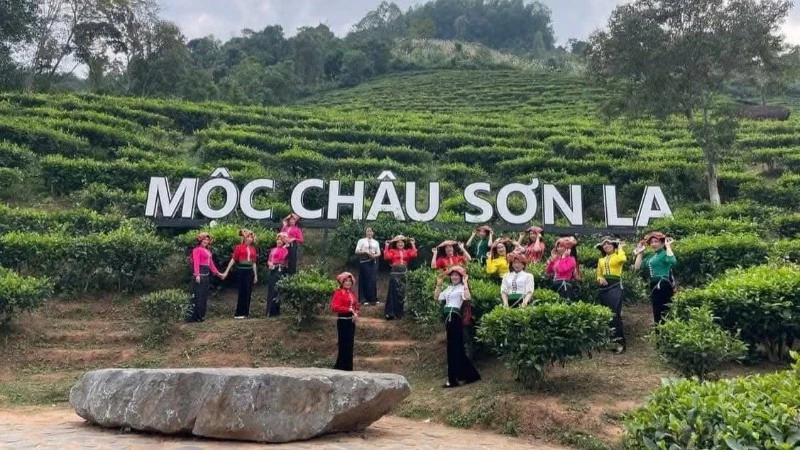 Khu du lịch quốc gia Mộc Châu “tăng nhiệt” dịp lễ